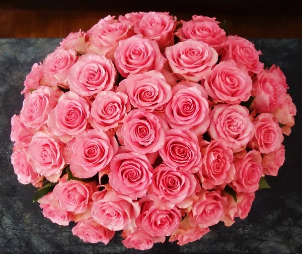 Solo Rosas