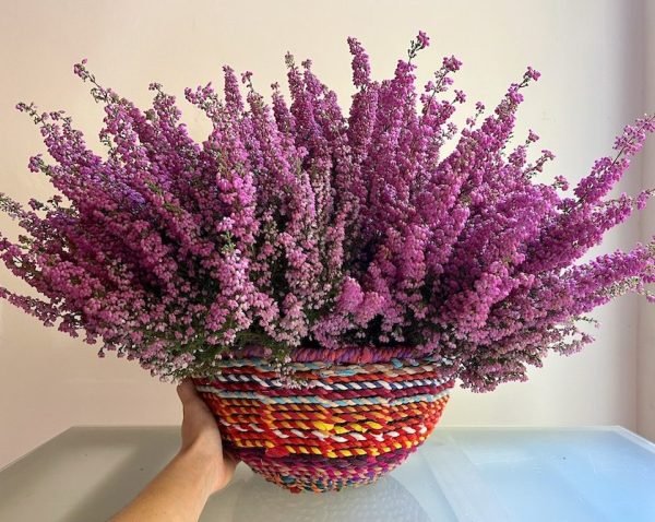 Frutero con Brezos - Imagen 2