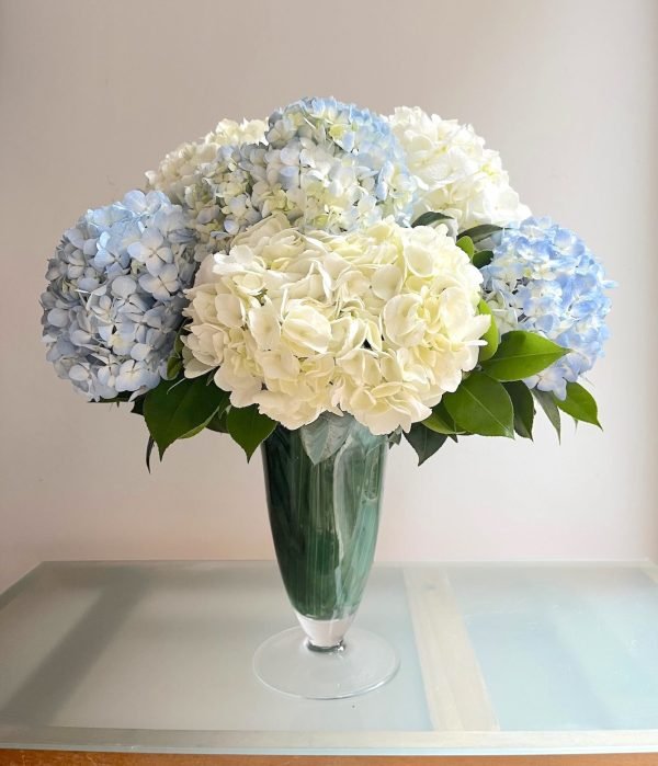 Copa de Hortensias