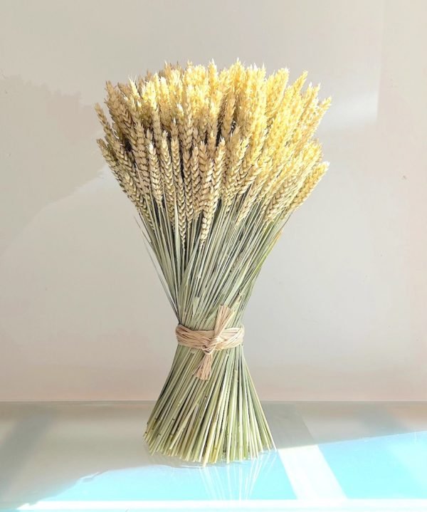 Haz de Trigo