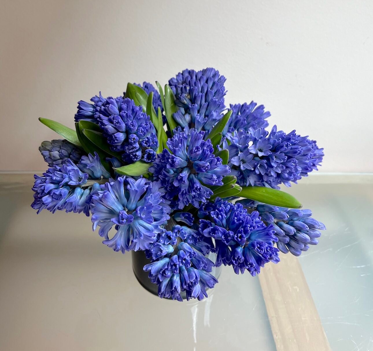 Jacintos & Fernando Alcalde - Imagen 5