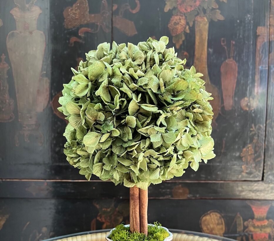 Árbol de Hortensia - Imagen 5