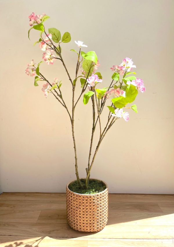 Cerezo en flor - Imagen 4