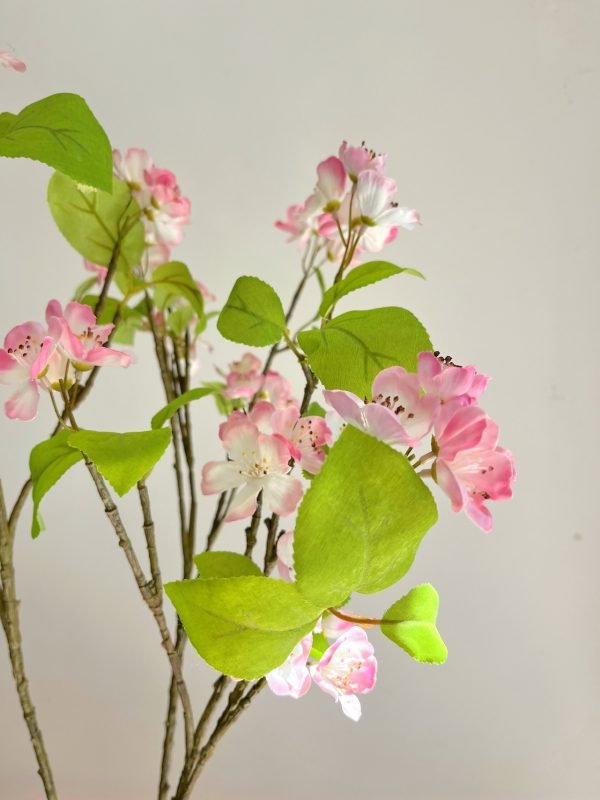 Cerezo en flor - Imagen 2