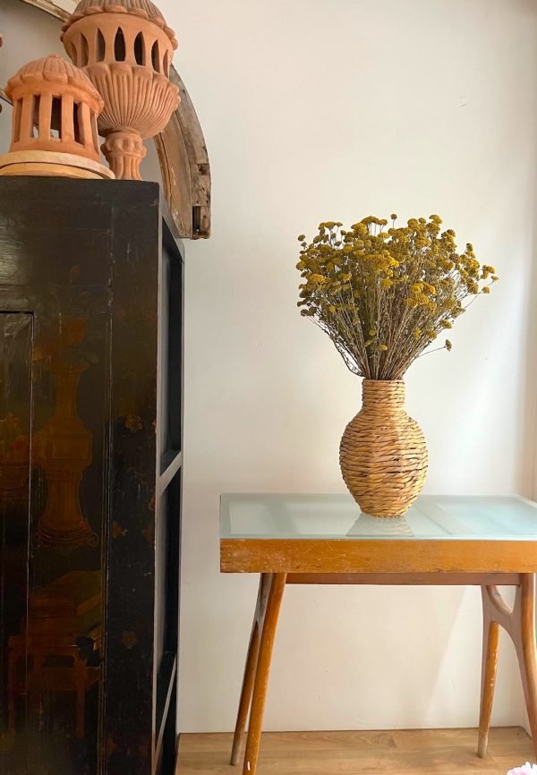 Achillea - Imagen 2