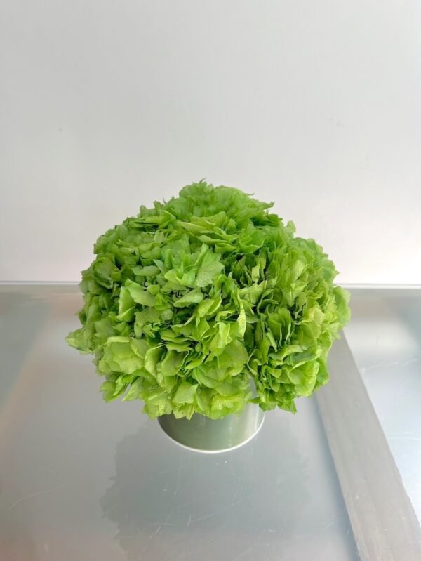 Verde entero - Imagen 2
