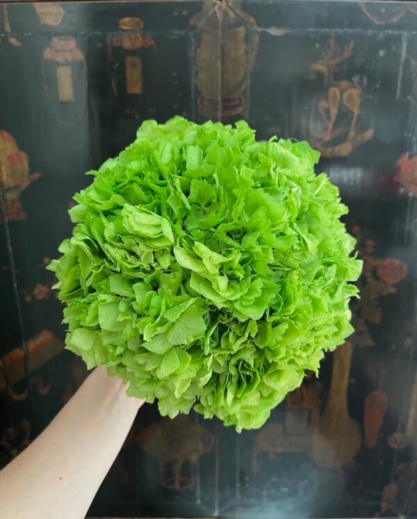Verde entero - Imagen 5