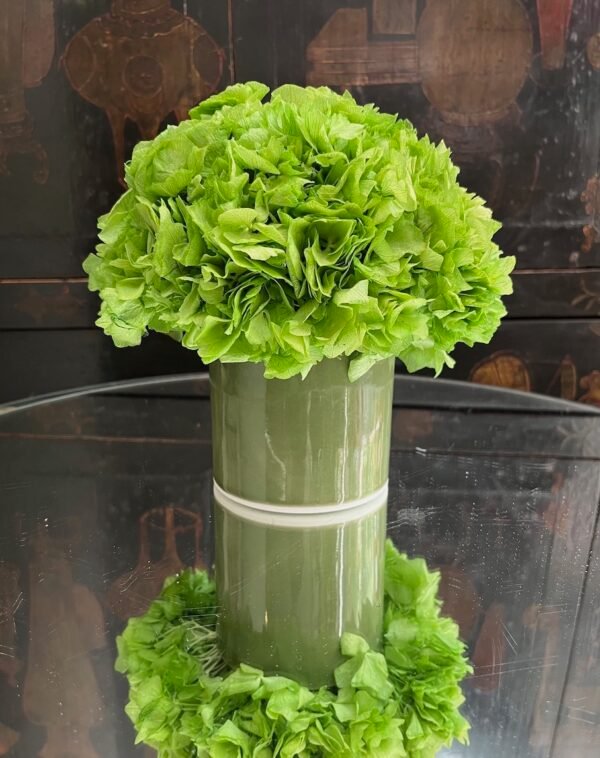 Verde entero - Imagen 6
