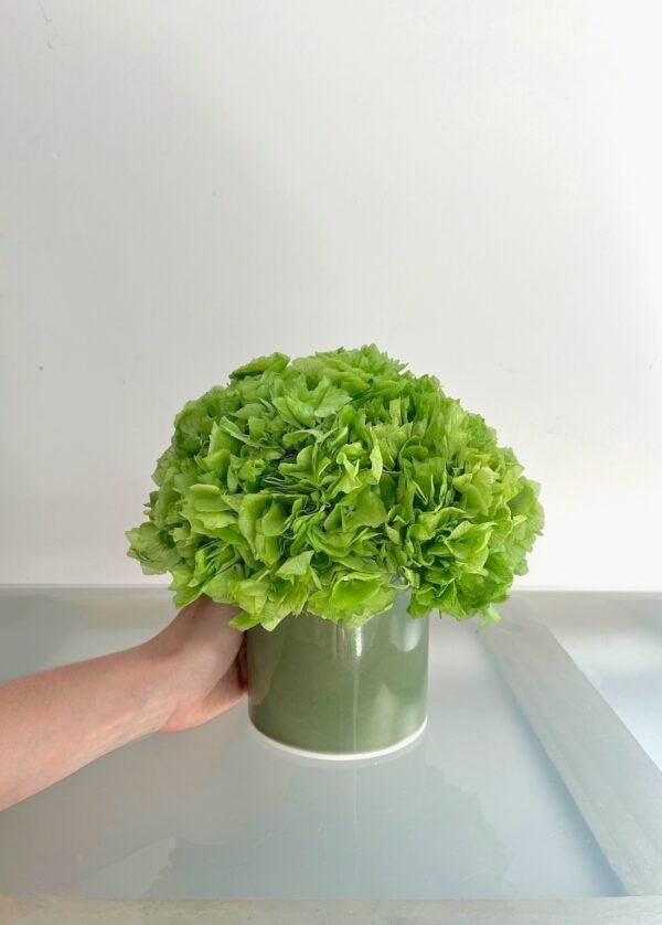 Verde entero - Imagen 3