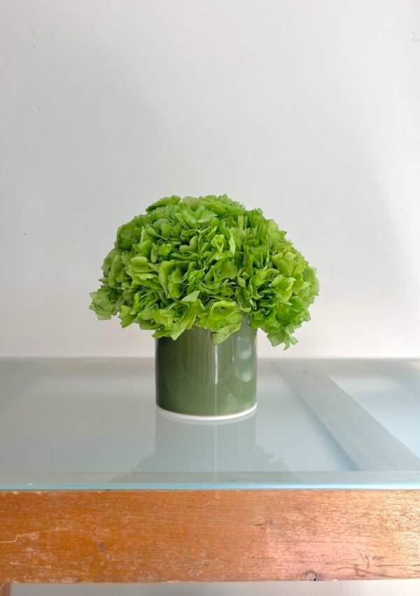 Verde entero - Imagen 4