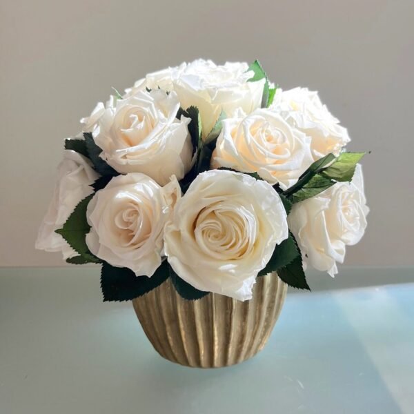 Rosas blancas