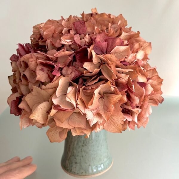 Hortensia & Fernando Alcalde