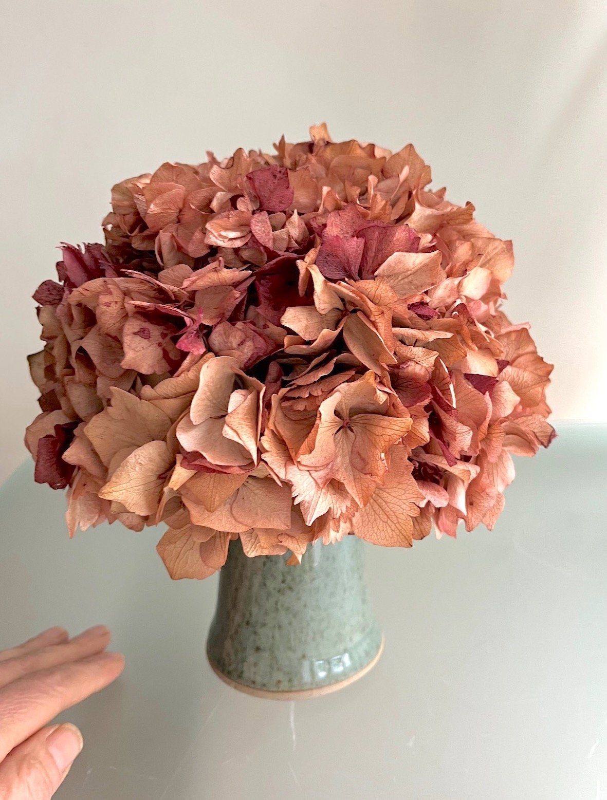 Hortensia & Fernando Alcalde