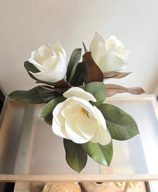 Magnolio - Imagen 7