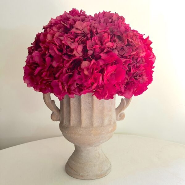 Hortensia sobre copa