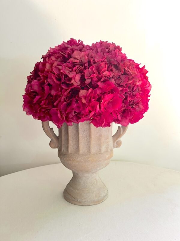 Hortensia sobre copa