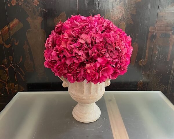 Hortensia sobre copa - Imagen 5