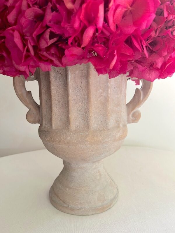 Hortensia sobre copa - Imagen 2
