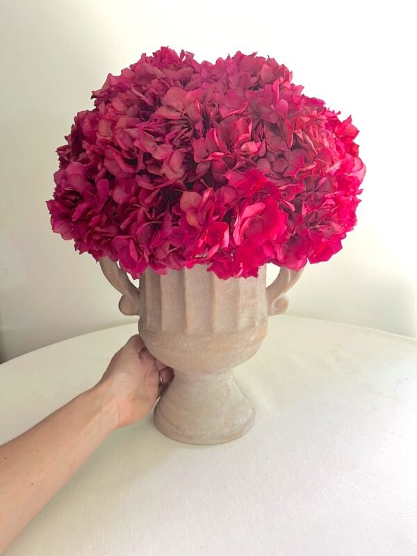 Hortensia sobre copa - Imagen 3