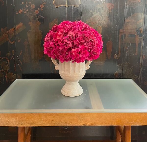 Hortensia sobre copa - Imagen 4