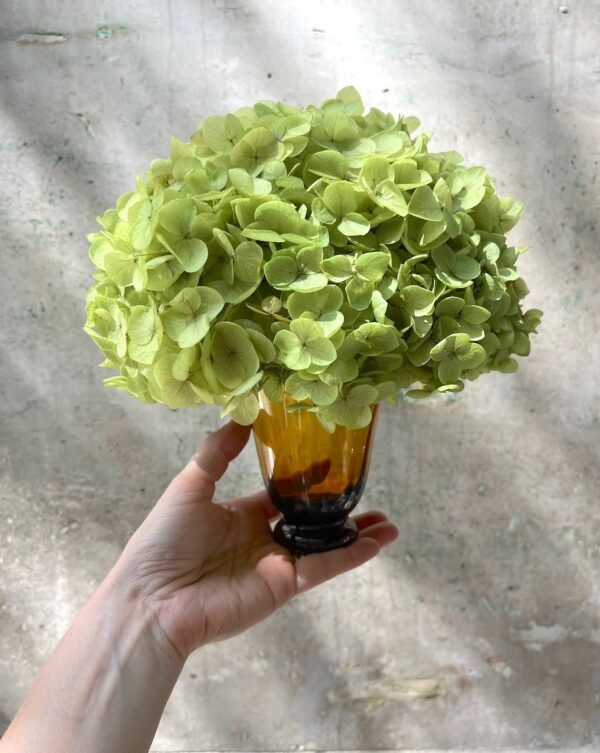 Ámbar y verde - Imagen 3