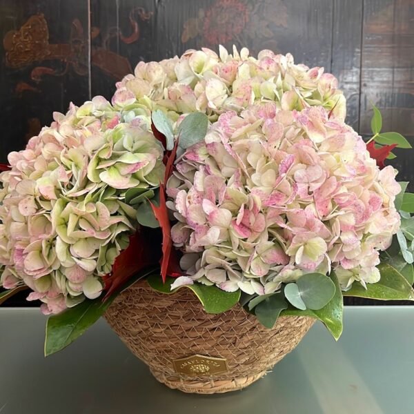Hortensias en cesto