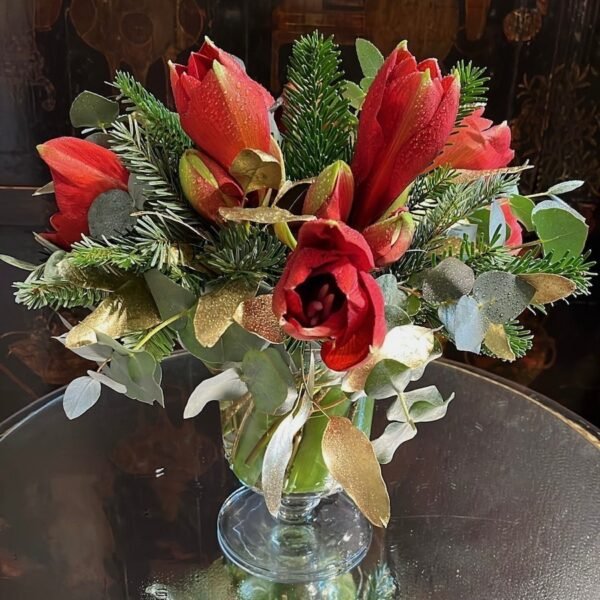 Amarylis sobre copa baja