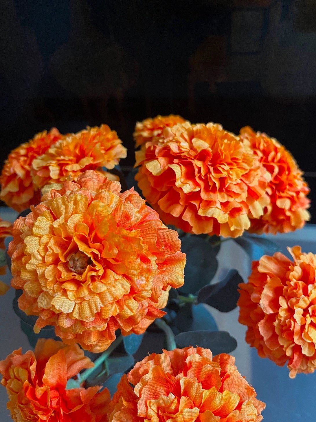 Tagetes - Imagen 3