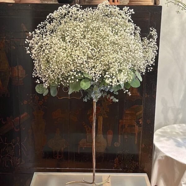 Árbol de Gypsophila fresca