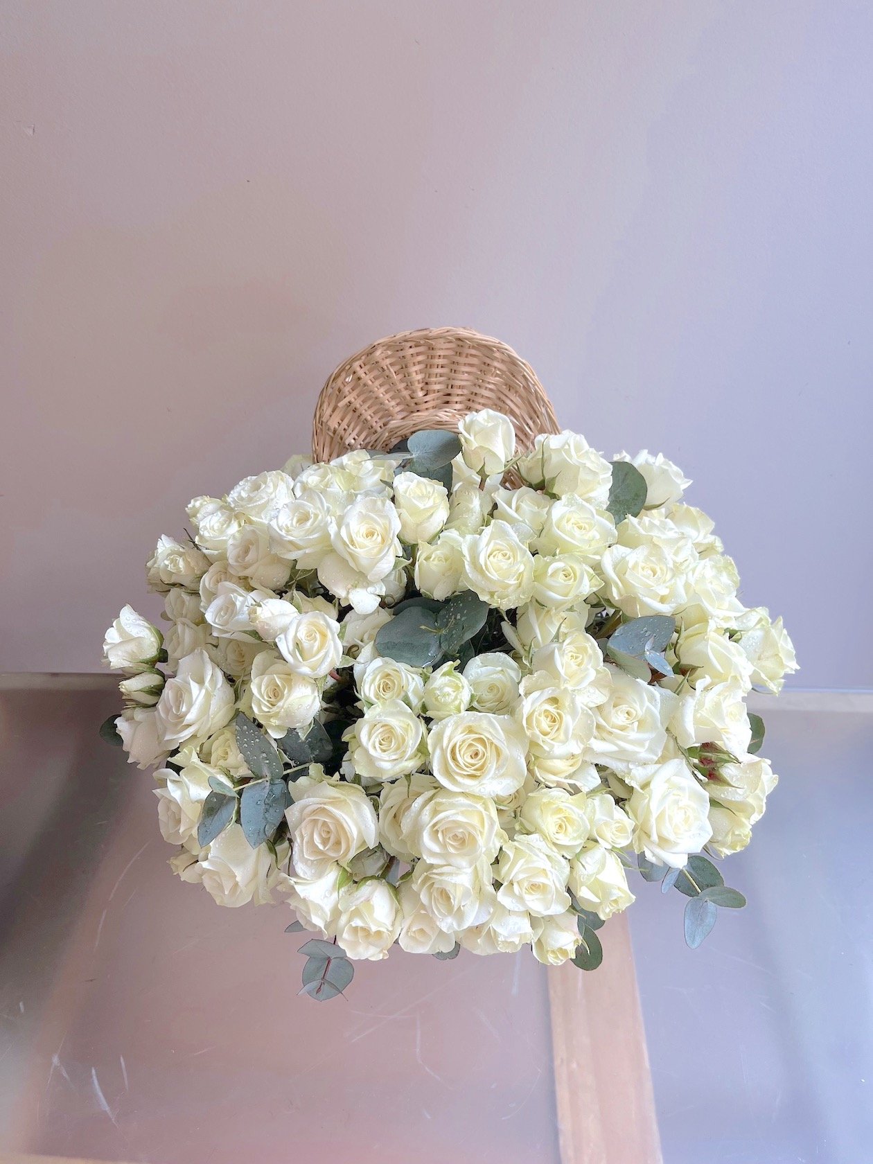 Pato Bebé - Imagen 4