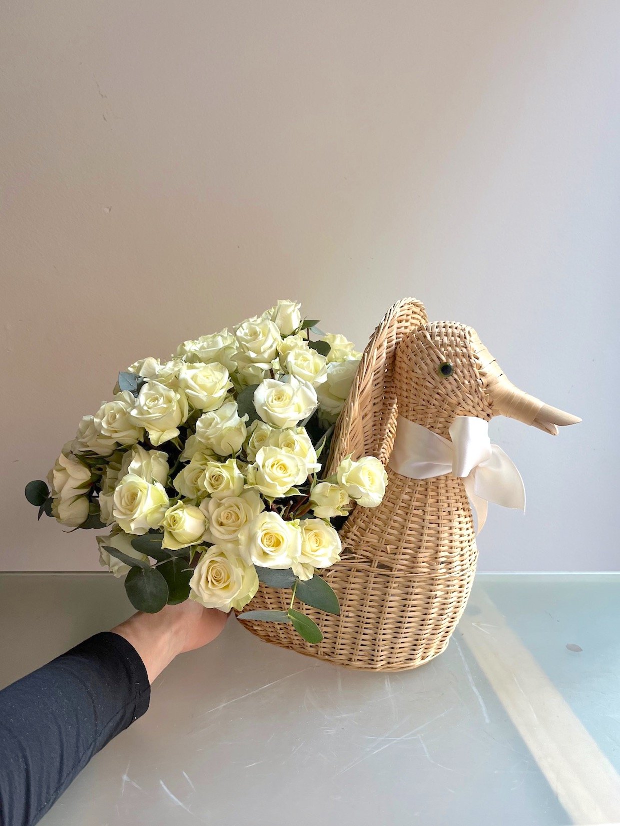 Pato Bebé - Imagen 3