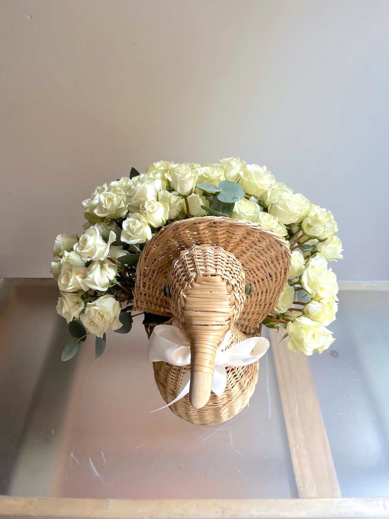 Pato Bebé - Imagen 2