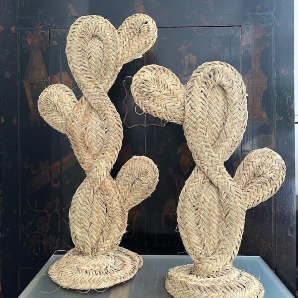 Cactus de Esparto