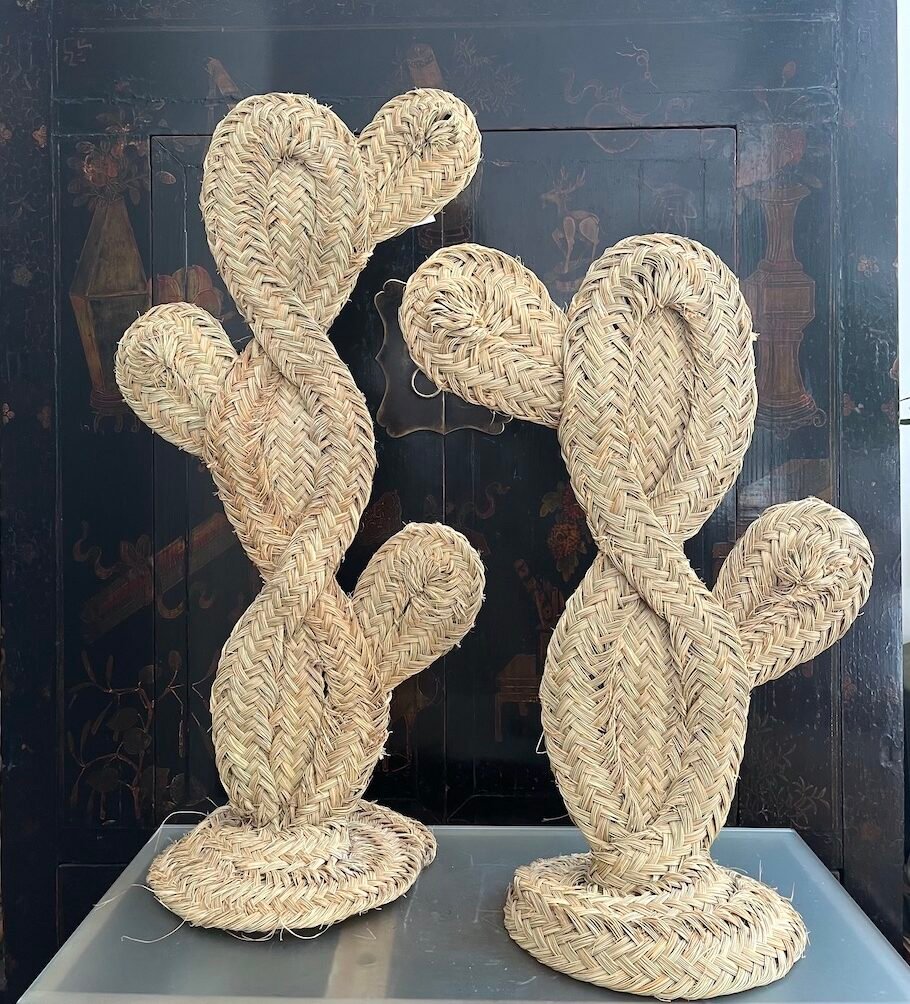 Cactus de Esparto