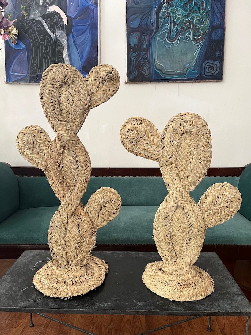 Cactus de Esparto - Imagen 6