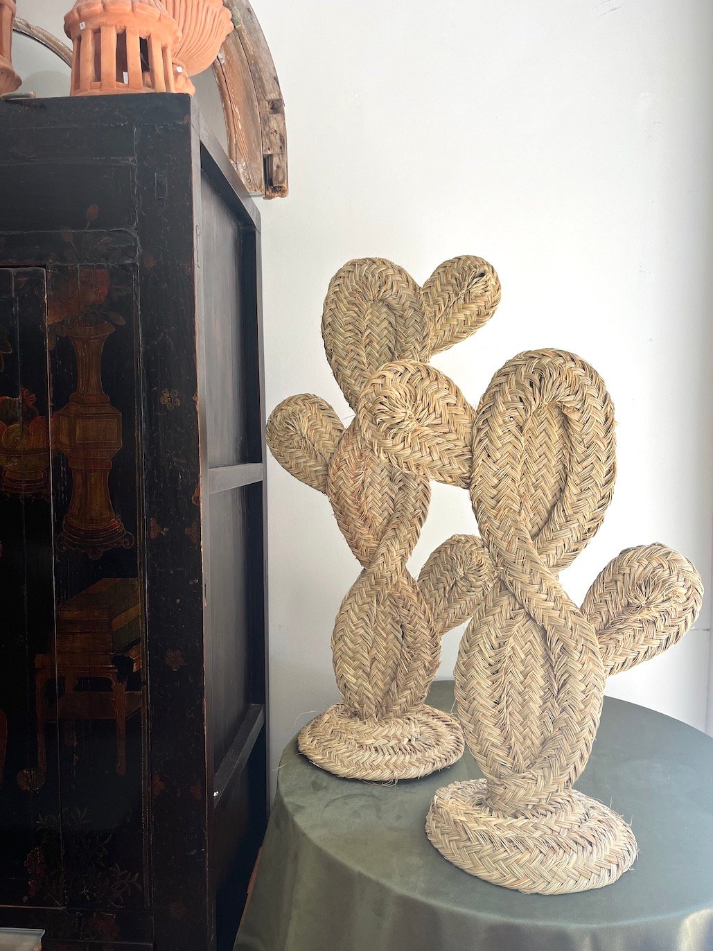 Cactus de Esparto - Imagen 4