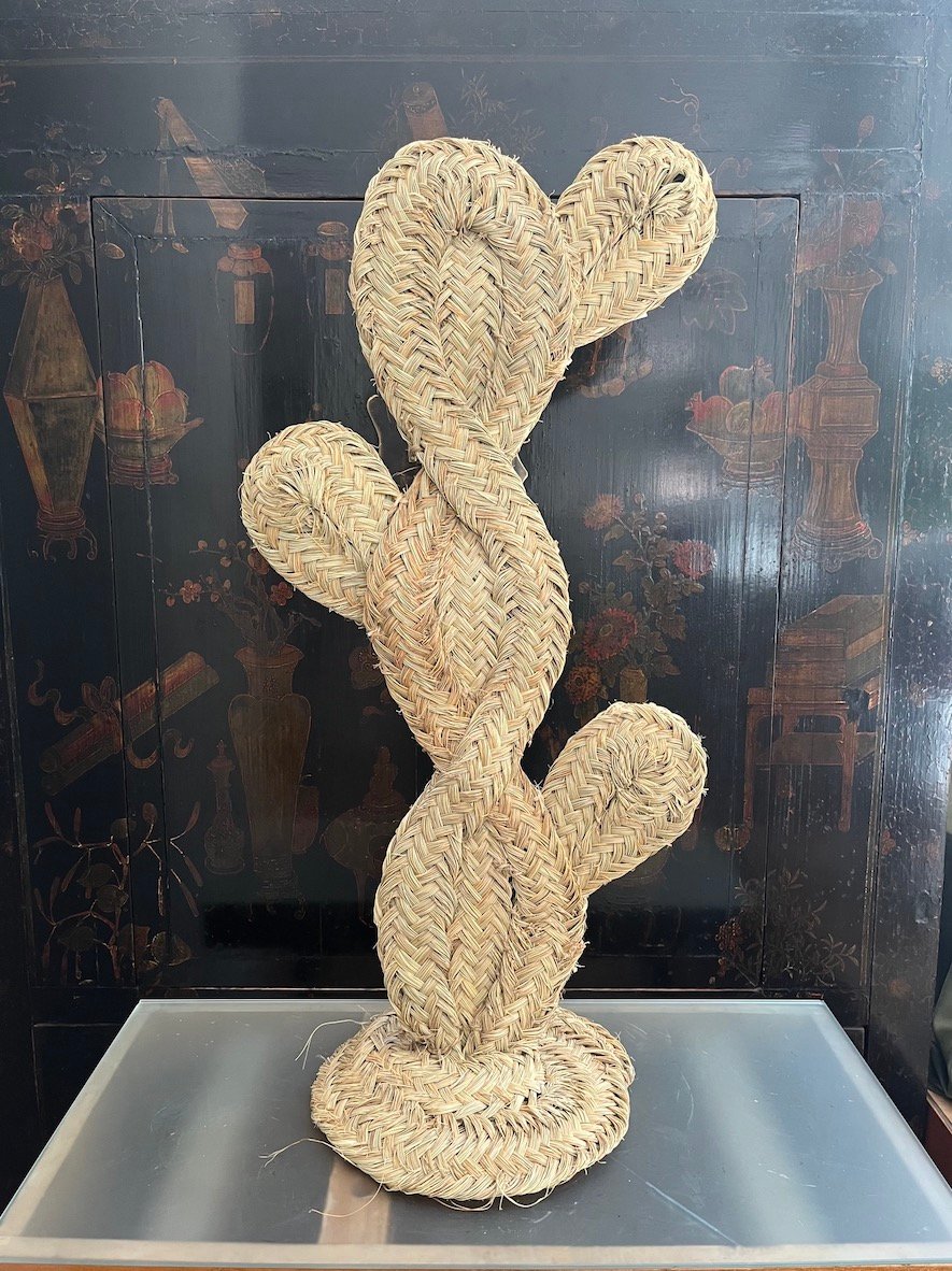 Cactus de Esparto - Imagen 2