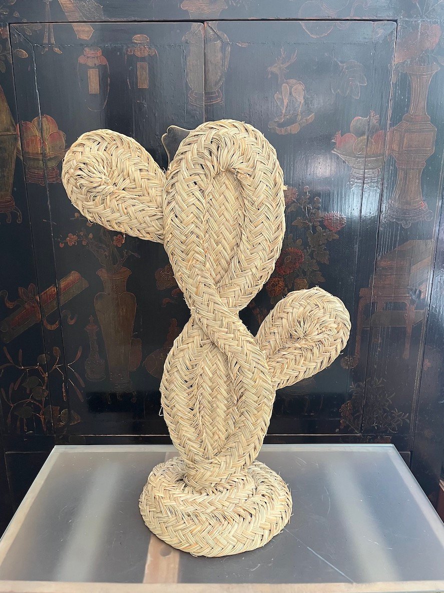 Cactus de Esparto - Imagen 3