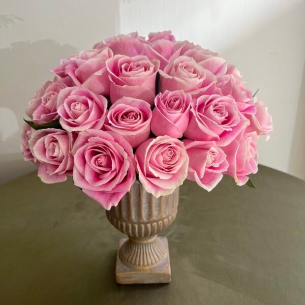 Rosas Vendela