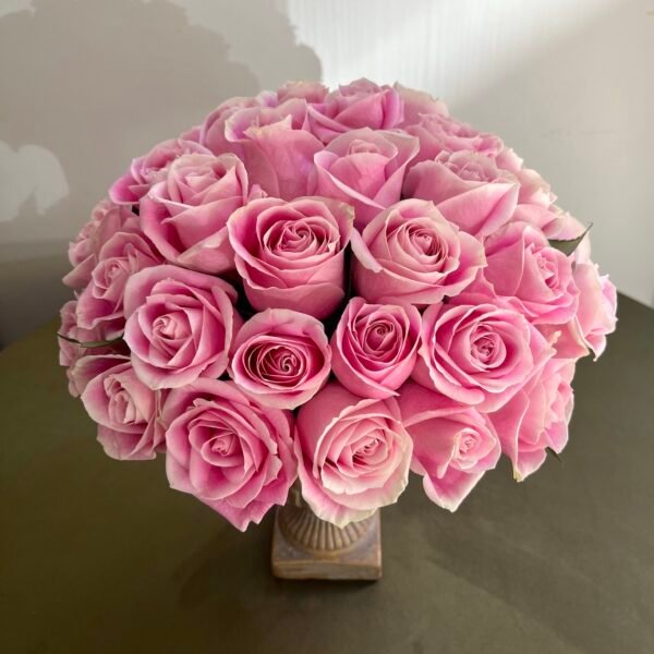 Rosas Vendela