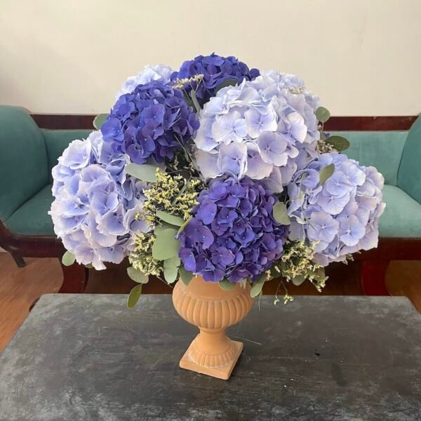 Hortensias azules