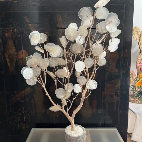 Árbol de Conchas