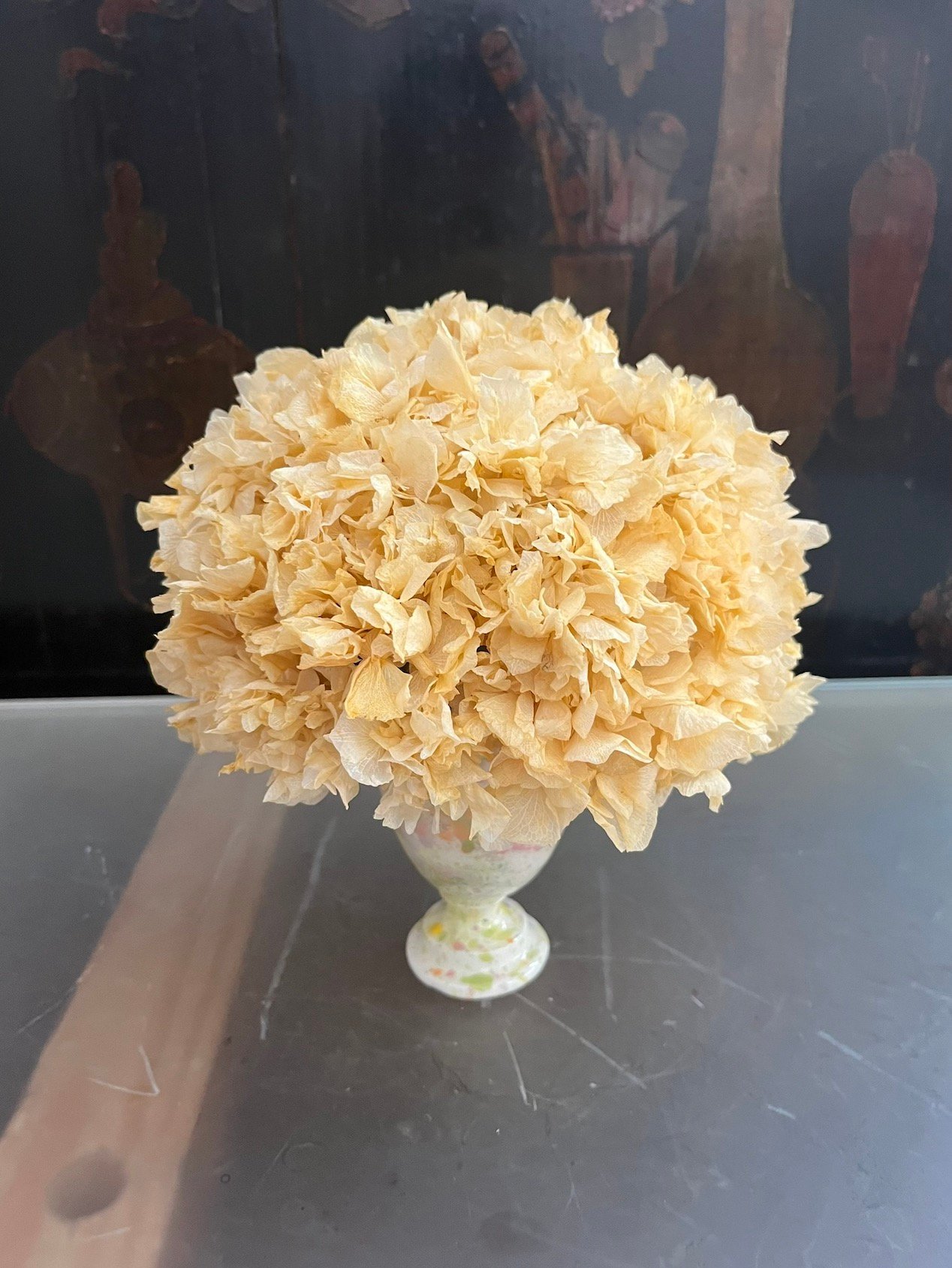 Pequeño de Hortensia - Imagen 6
