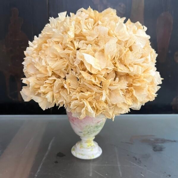 Pequeño de Hortensia