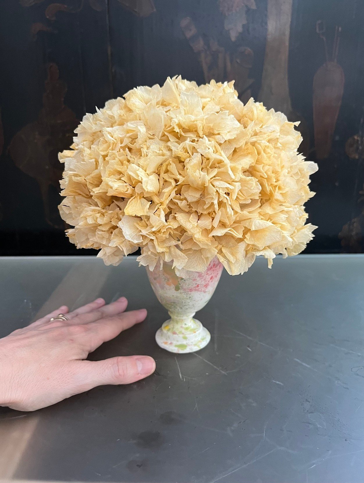 Pequeño de Hortensia - Imagen 3