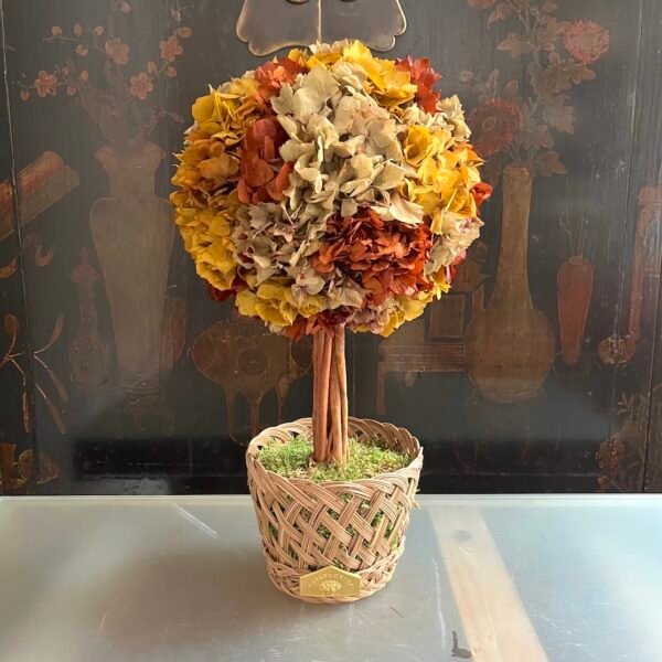 Árbol de Hortensia