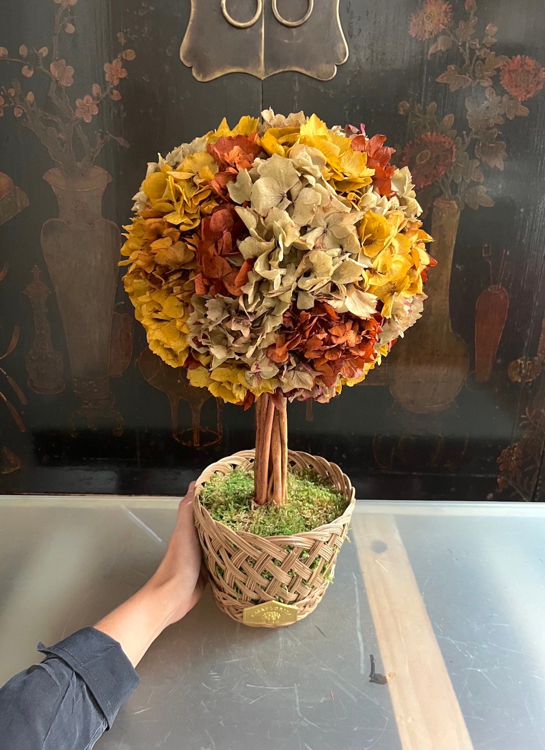Árbol de Hortensia - Imagen 3