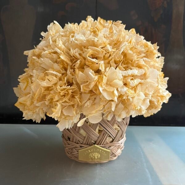 Cestillo de Hortensia