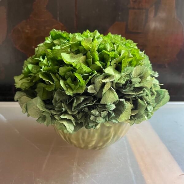Hortensia verde y porcelana